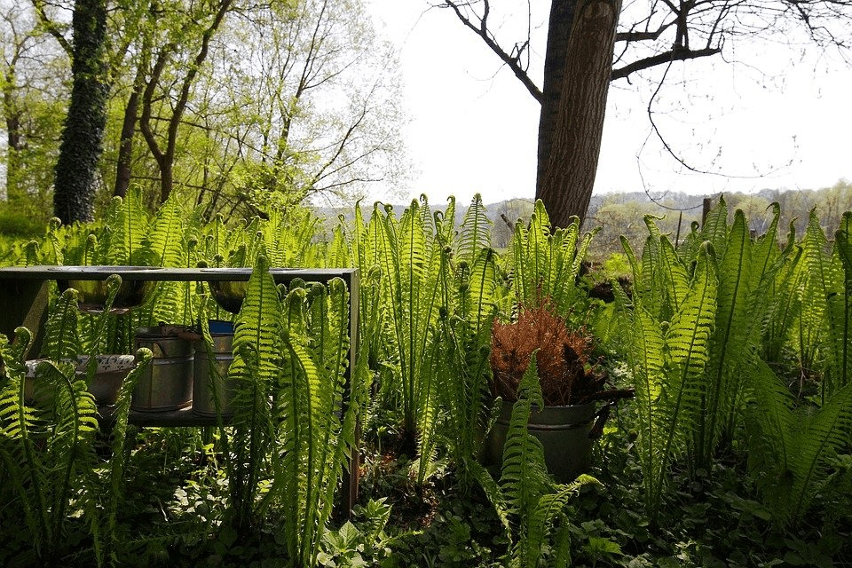 Prevent-Soggy-Yard-Smaller Solutions