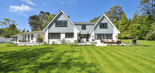 The-Right-Plan-For-Your-Yard