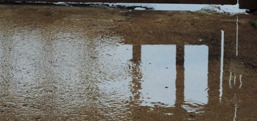 How to prevent mold invasion after water damage