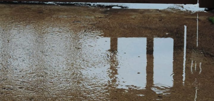 How to prevent mold invasion after water damage