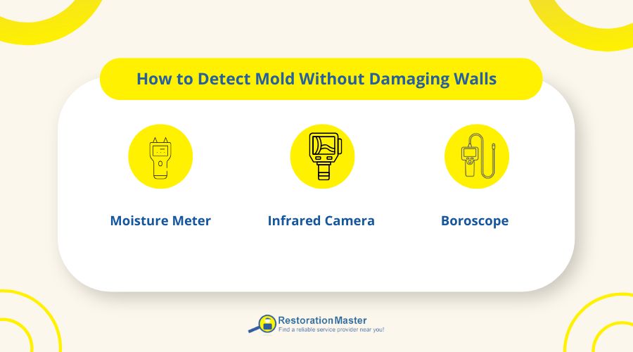 How to Detect Mold Without Damaging Walls How to Detect Mold Without Damaging Walls