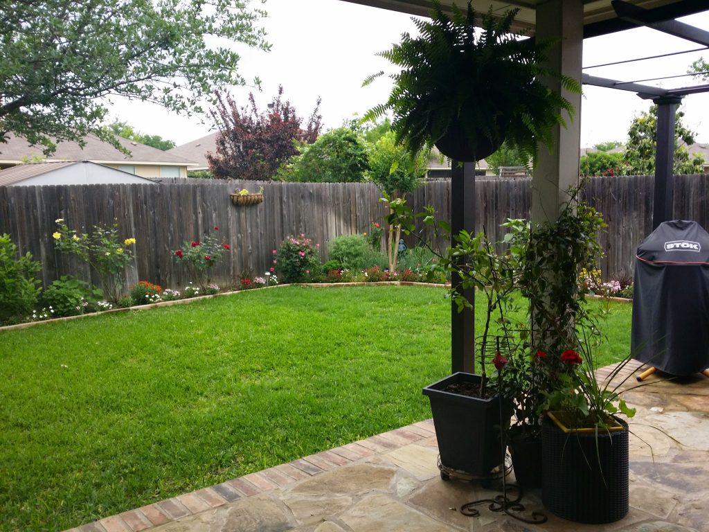 nice garden and lawn after recovering from flood nice garden and lawn
