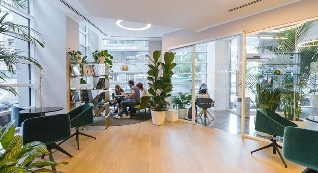 Young Professionals Working in Office Space