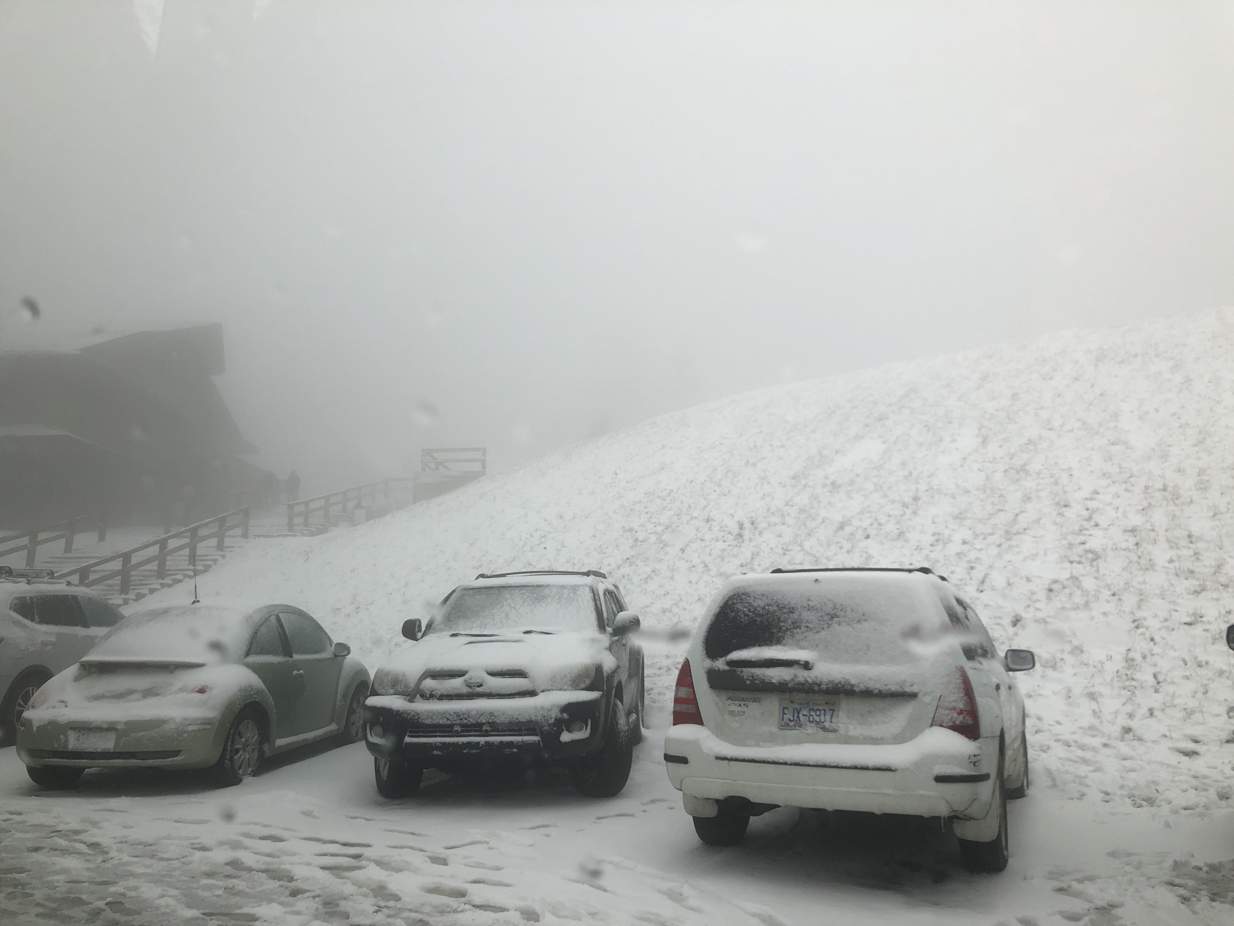 Snow Melting Snow Melting