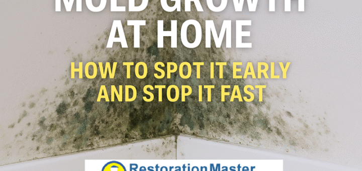 Mold Growth at Home: How to Spot It Early and Stop It Fast