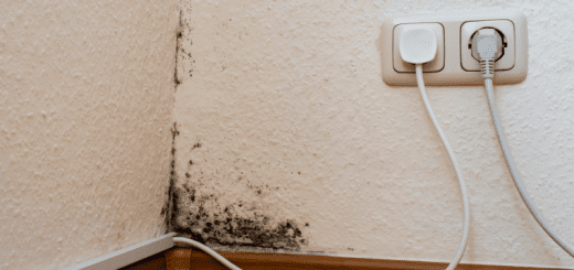 Mold Growth on Baseboard
