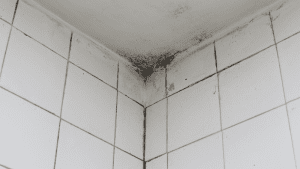 Mold in Shower