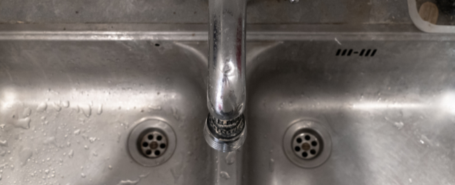 Get Rid of Any Dry Mold Get Rid of Any Dry Mold