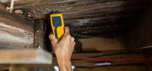 Indoor air quality mold test