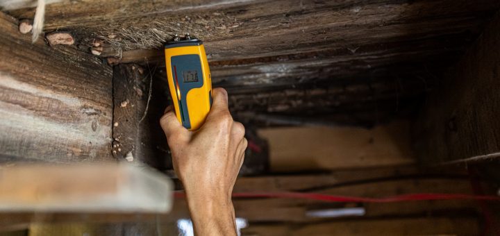 Indoor air quality mold test