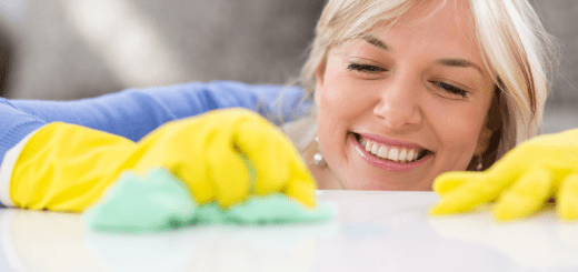 mold removal services