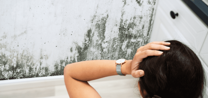 How to Remove Mold from the Roof and Ceiling After it Rains