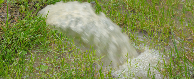 Water puddle in the lawn