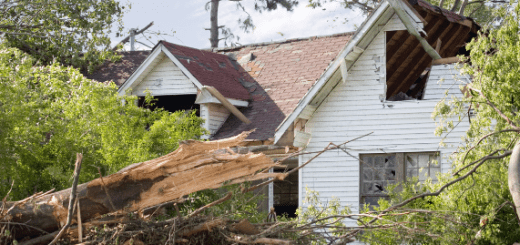 Tree Fallen in Front of House