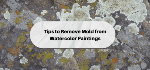 Mold Removal RestorationMaster