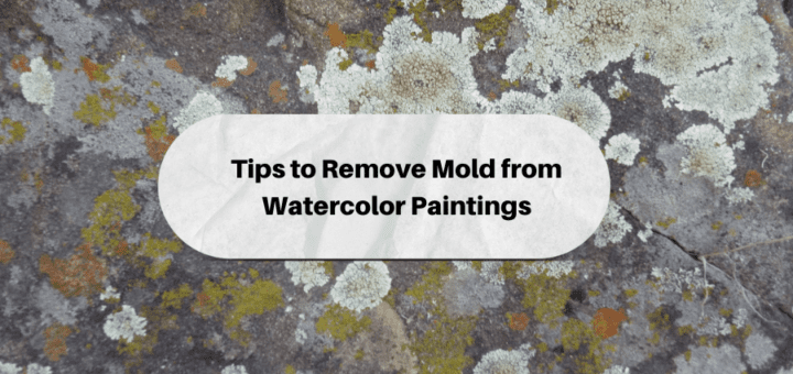 Mold Removal RestorationMaster