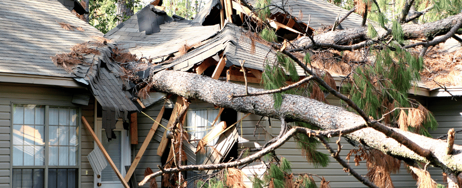 Storm Damage Storm Damage