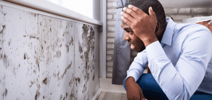 Mold Exposure at Your Workplace