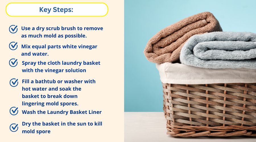 removing-mold-from-cloth-laundry-bag-diy removing-mold-from-cloth-laundry-bag-diy