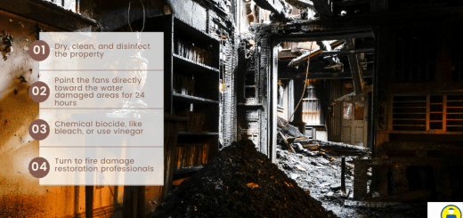 How To Clean Up Fire Damage To Prevent Mold