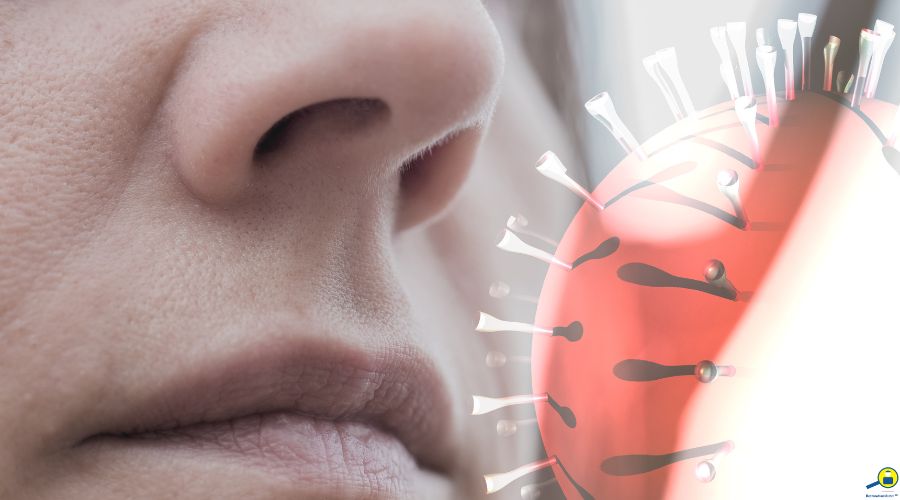 allergy to airborne mold