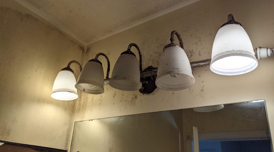 moisture found in lights