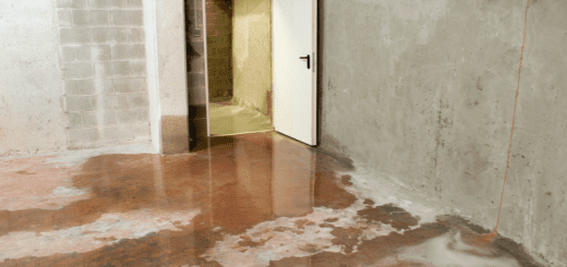 Basement Leak