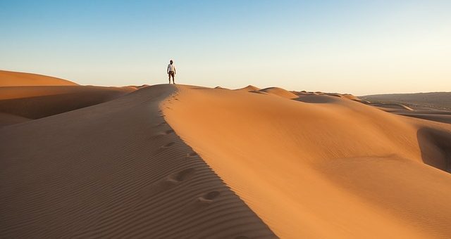 How to Protect Your Desert Home from Outside Threats