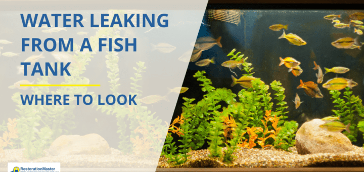 Water Leaking from a Fish Tank - Where to Look - RestorationMaster