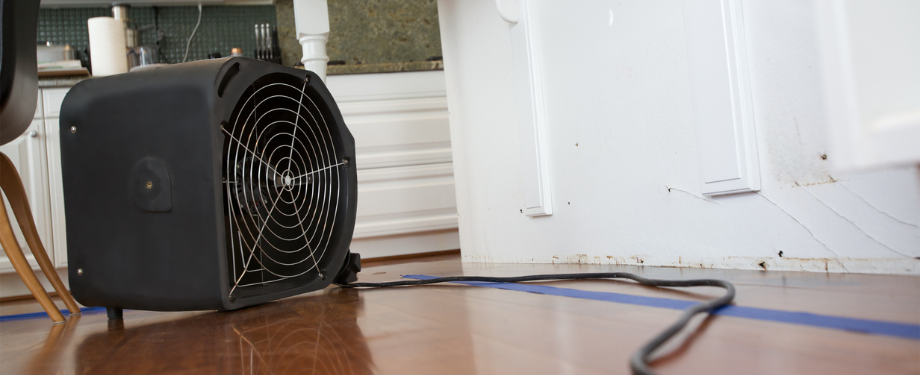 Water Damage Dehimidification Water Damage Restoration in Middletown, NY