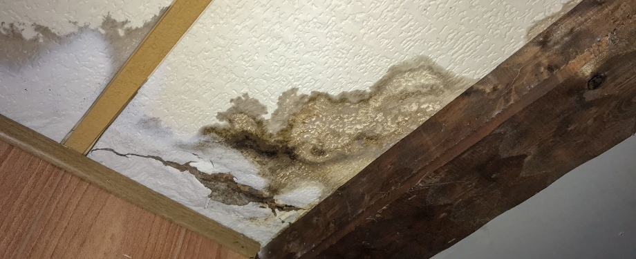 Water Damaged Ceiling Water Damaged Ceiling