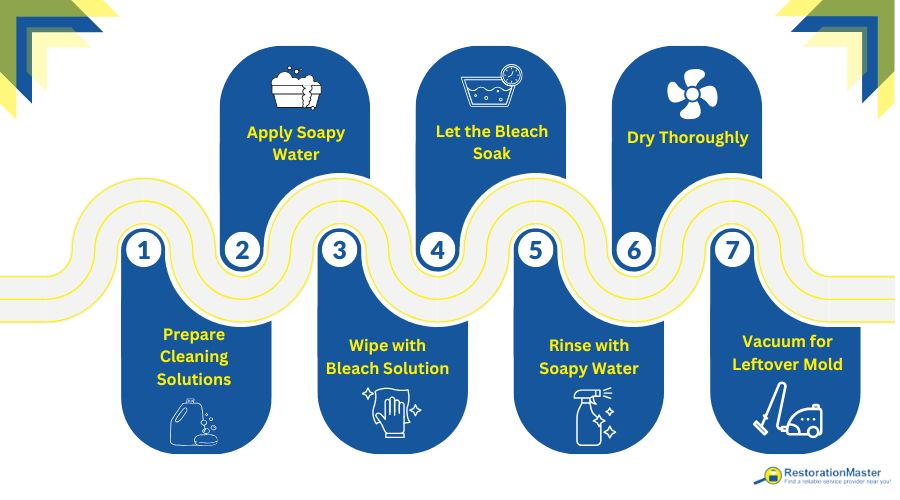mold removal steps from painted walls mold removal steps from painted walls
