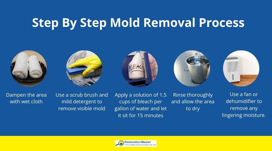 step by step DIY process to remove mold from storage unit step by step DIY process to remove mold from storage unit