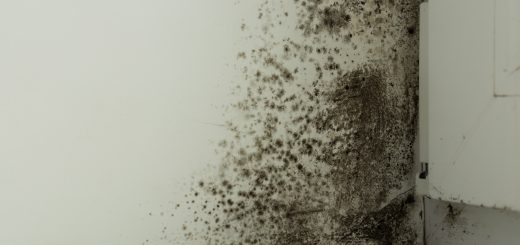 a lot of mold on the white window and slopes