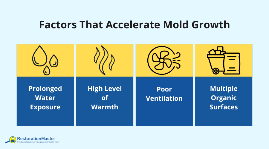 Factors that Accelerate Mold Growth After Water Damage - RestorationMaster Factors that Accelerate Mold Growth After Water Damage - RestorationMaster