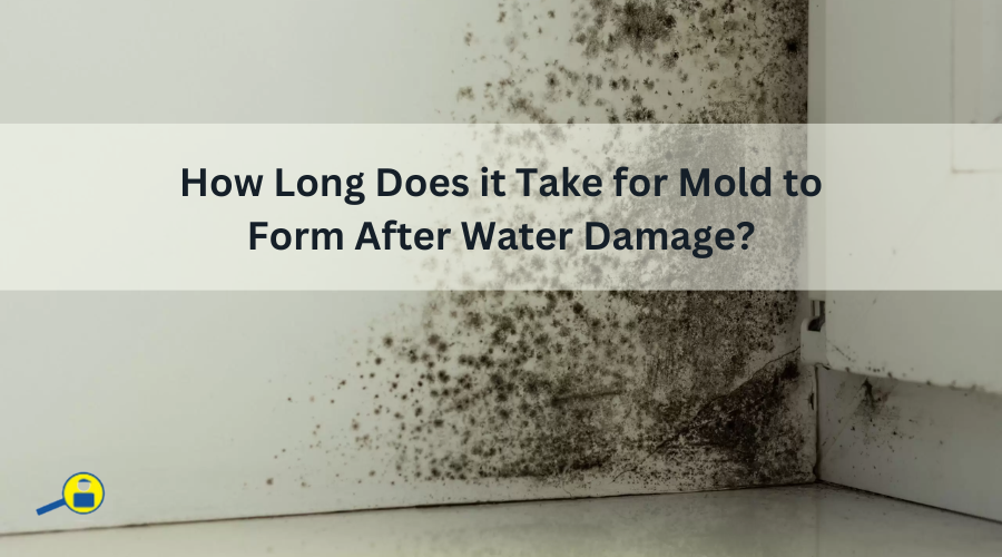 Mold Growth after Water Damage - RestorationMaster Mold Growth after Water Damage - RestorationMaster