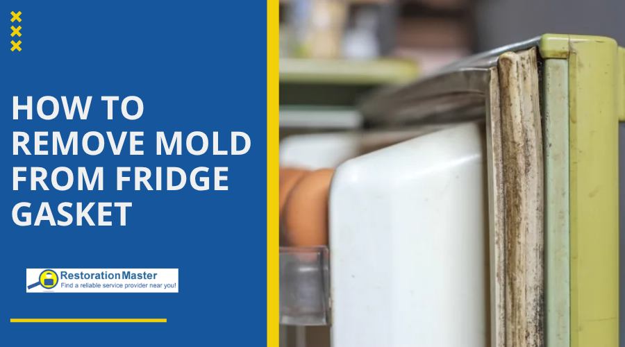 How to Remove Mold from Fridge Seal - RestorationMaster