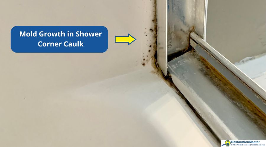 mold on shower caulk
