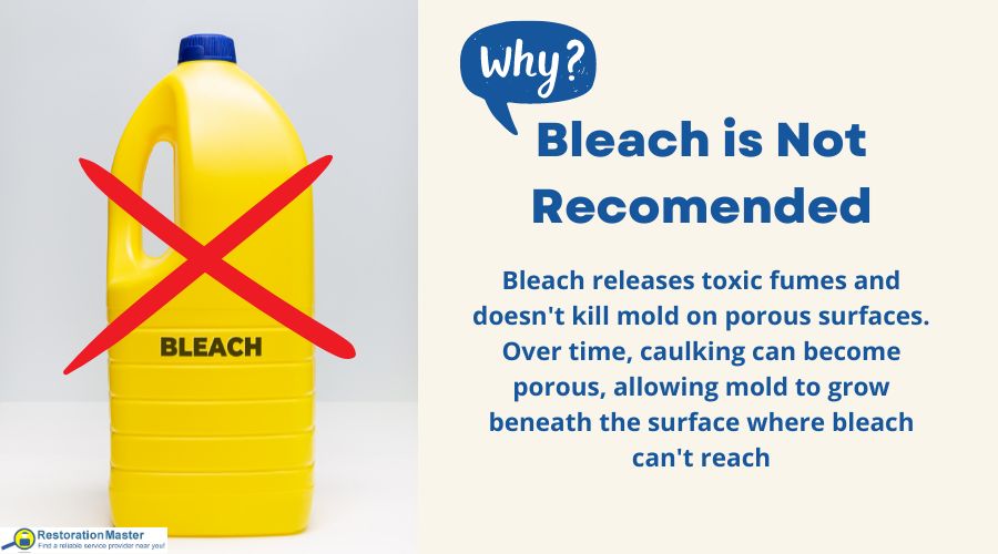 why don't use bleach to kill mold