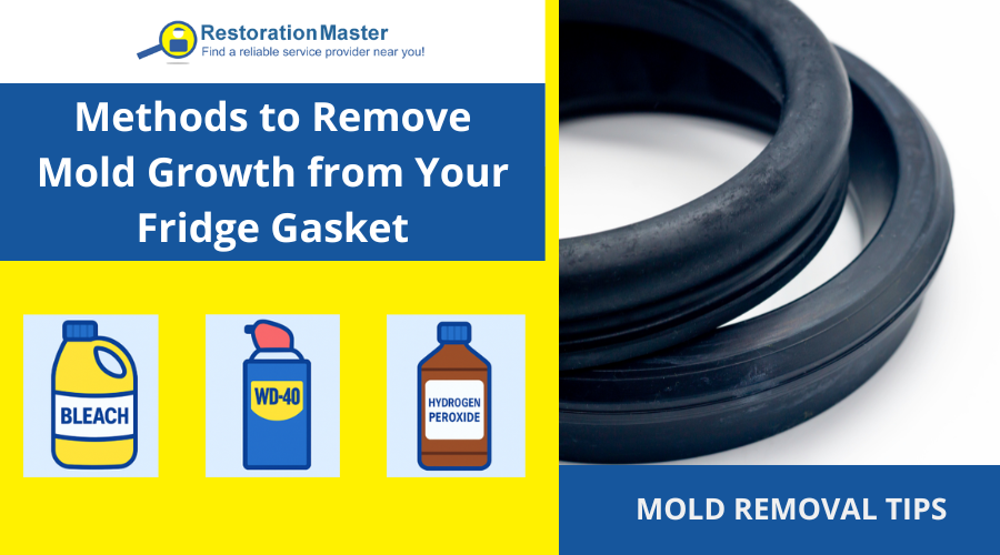 Remove Mold from Kitchen Gasket - RestorationMaster