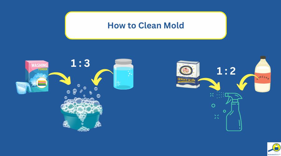 how to clean mold how to clean mold