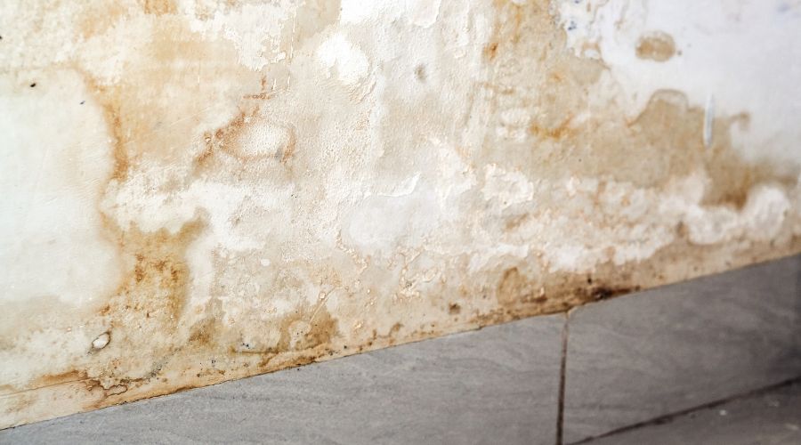 discoloration and water stains on wall