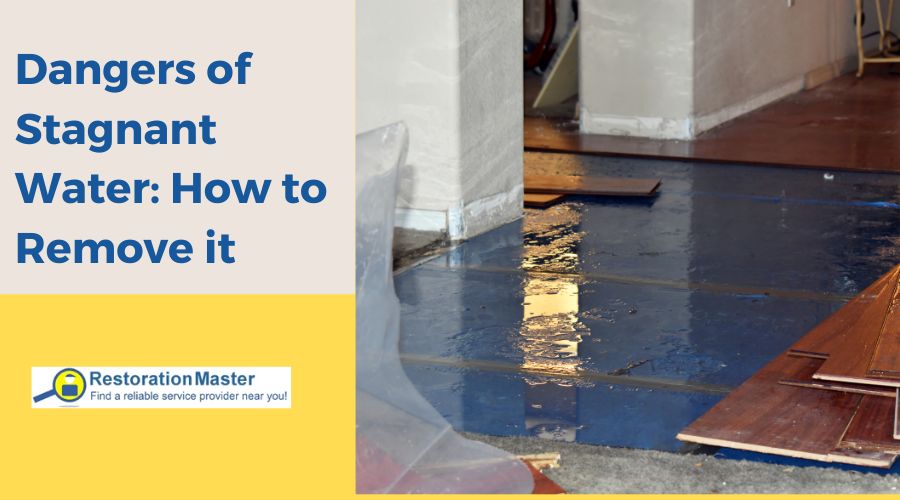 stagnant-water-dangers stagnant-water-dangers