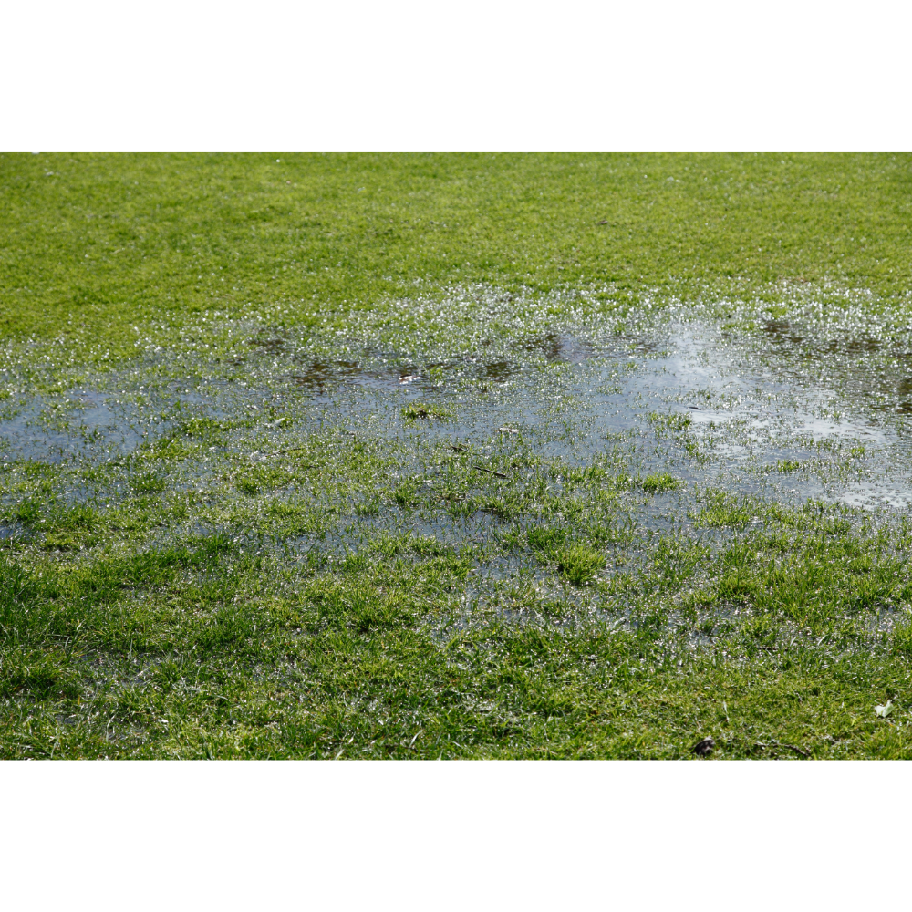 groundwater-flooding-Mishawaka, IN