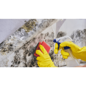 mold-removal-with-vinegar