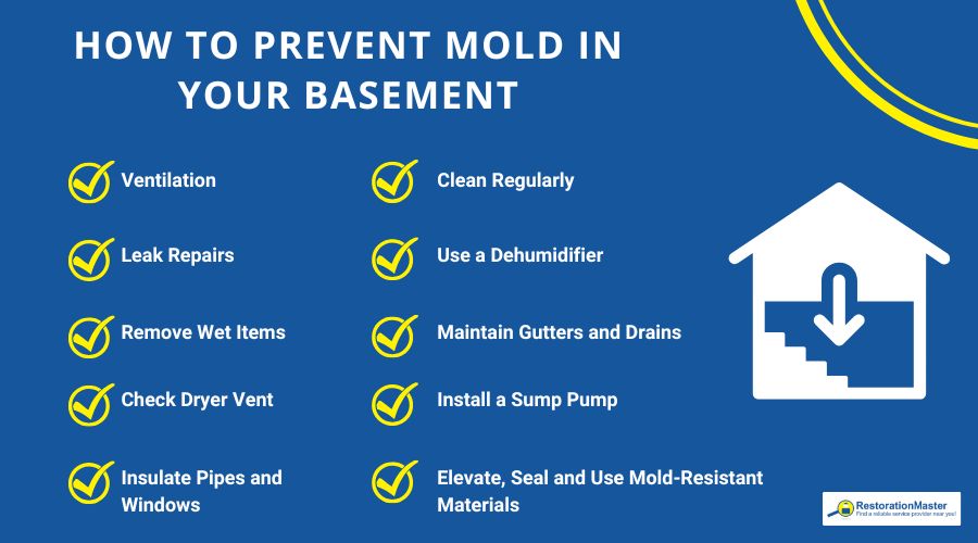 tips to prevent mold growth in basement tips to prevent mold growth in basement