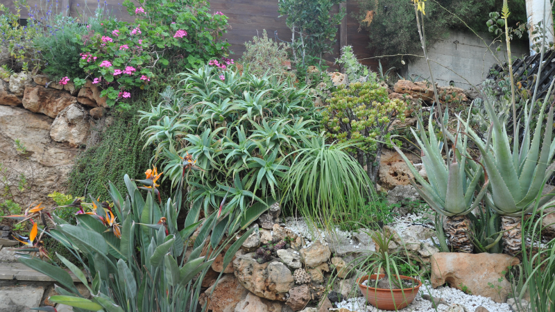 Water-efficient landscaping