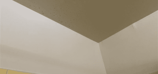 mold growth in bathroom