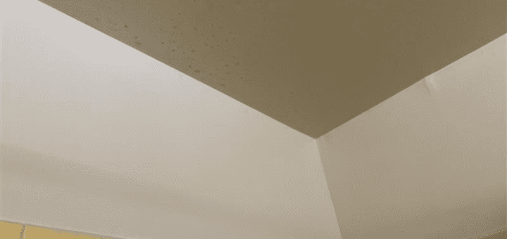 mold growth in bathroom