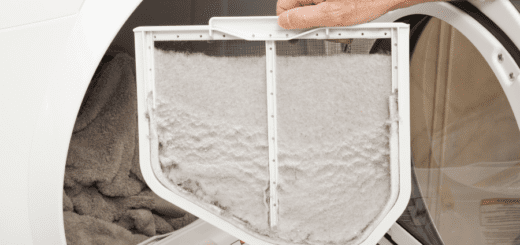 Clothes Dryer Lint Trap